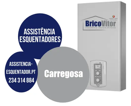 Assistência Esquentador Carregosa